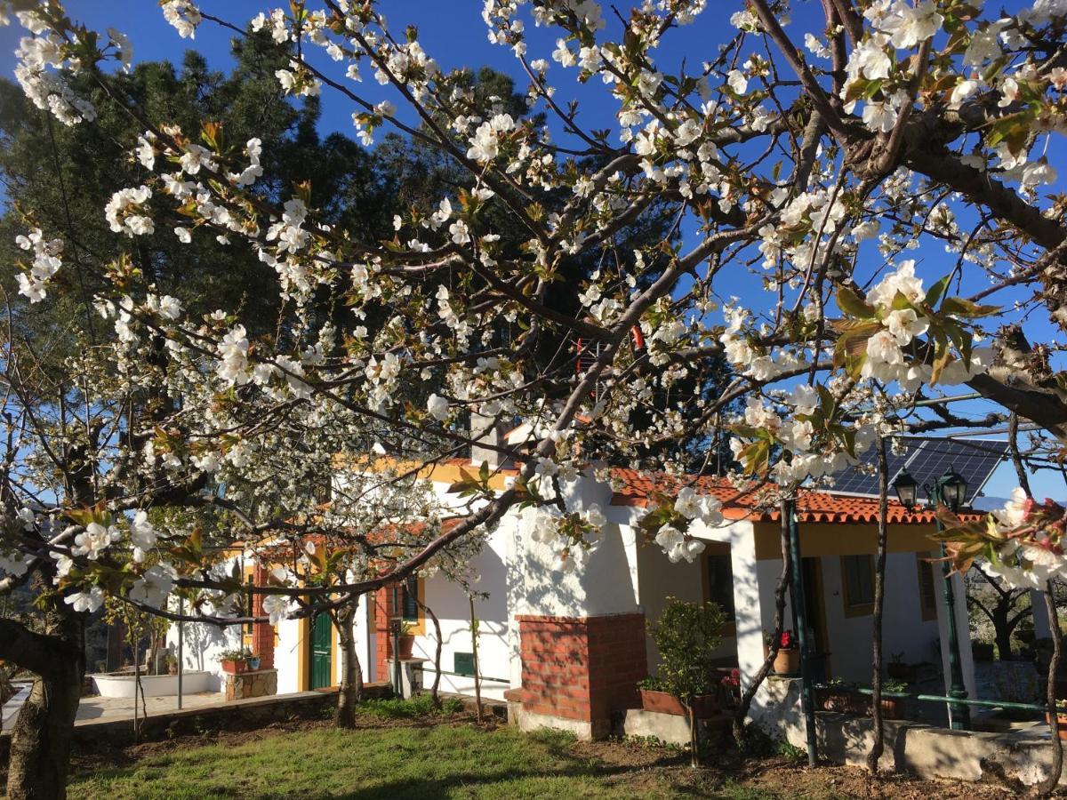 Casas De Campo Em Cerejal Villa Fundão Eksteriør billede