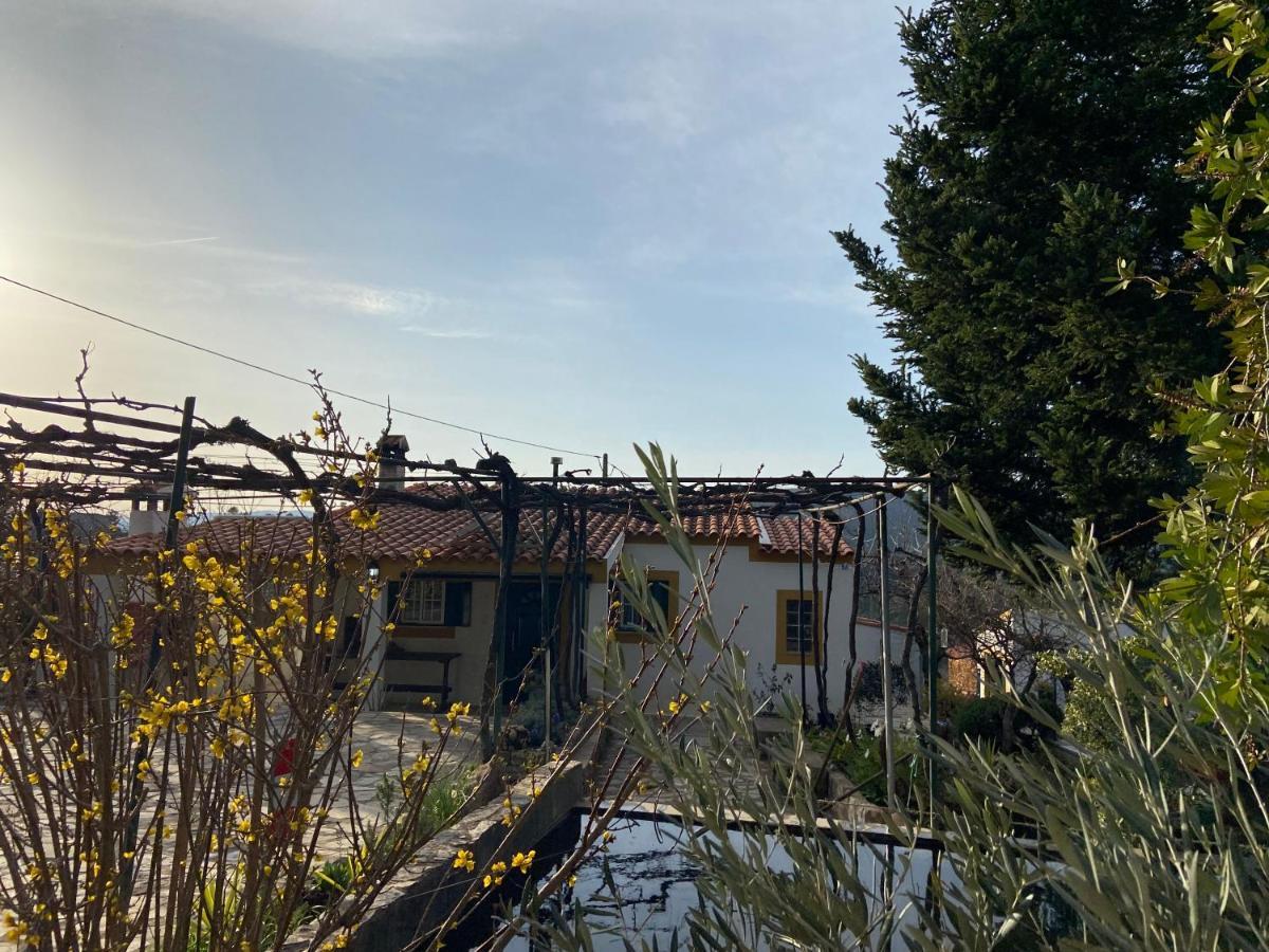 Casas De Campo Em Cerejal Villa Fundão Eksteriør billede