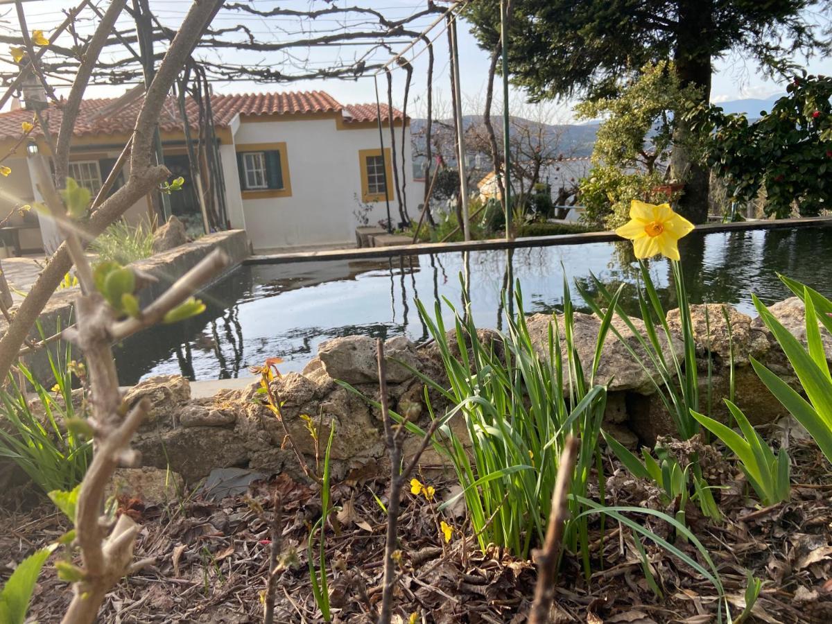 Casas De Campo Em Cerejal Villa Fundão Eksteriør billede
